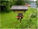 Ljubljanica - Sveti Andrej (Planina nad Horjulom)